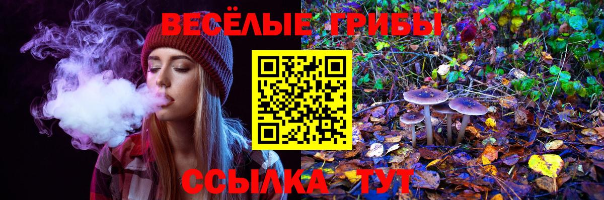 Клин  Галлюциногенные грибы GOLDEN TEACHER  Вход с VPN  Галлюциногенные грибы мухоморы 