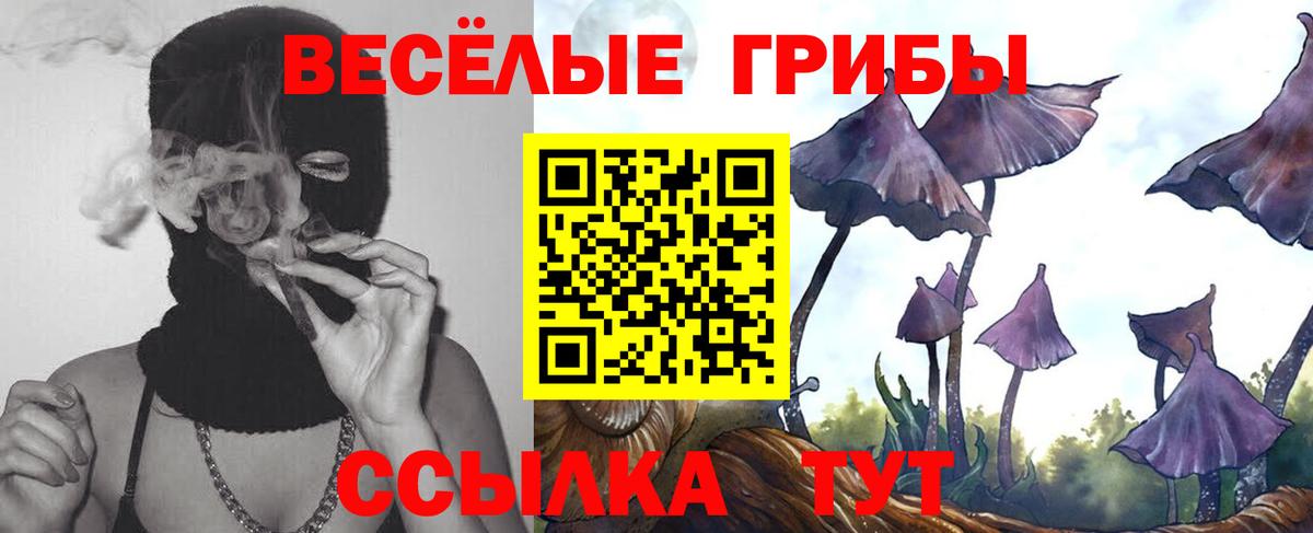 Галлюциногенные грибы Magic Shrooms Клин