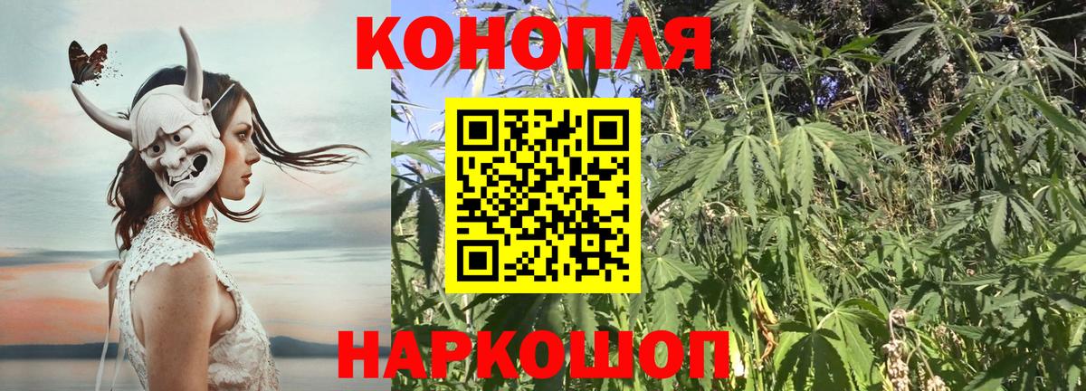 Бошки Шишки тримм Клин